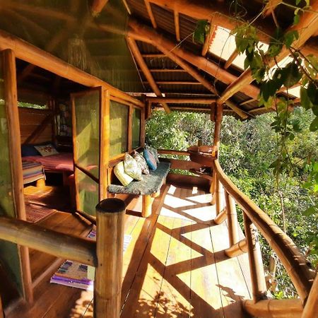 Mariri Jungle Lodge Alto Paraíso de Goiás 外观 照片