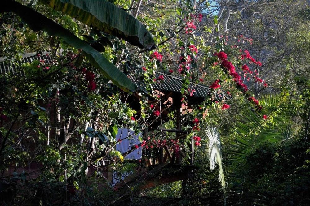 Mariri Jungle Lodge Alto Paraíso de Goiás 外观 照片