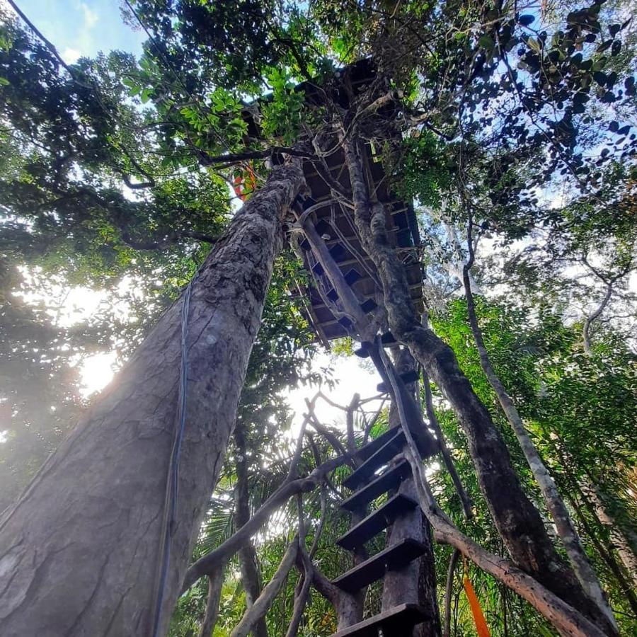 Mariri Jungle Lodge Alto Paraíso de Goiás 外观 照片