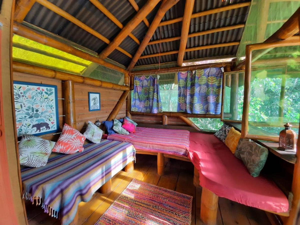 Mariri Jungle Lodge Alto Paraíso de Goiás 外观 照片
