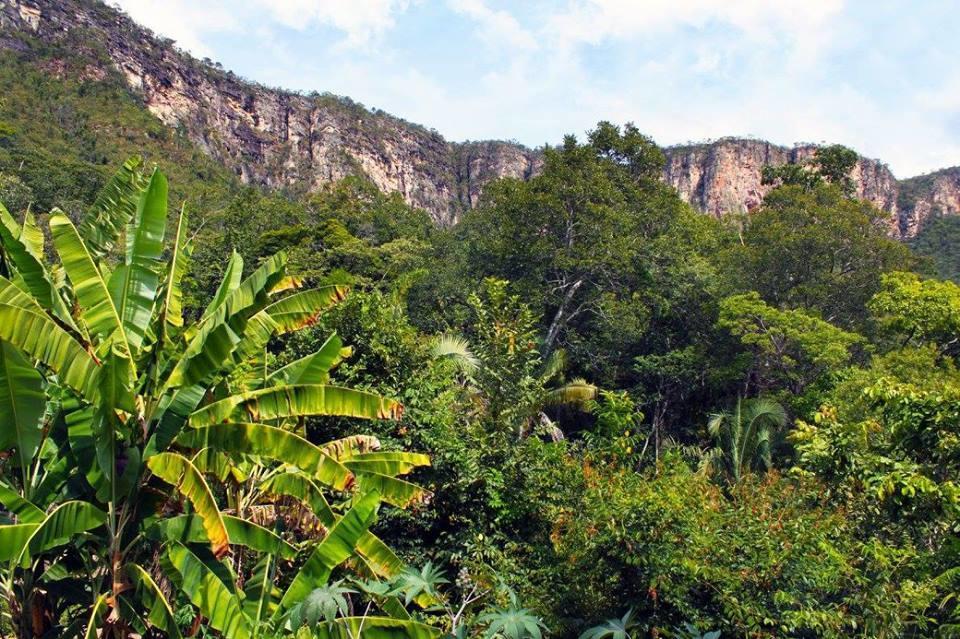 Mariri Jungle Lodge Alto Paraíso de Goiás 外观 照片