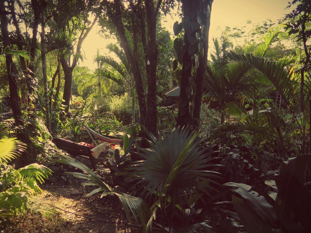 Mariri Jungle Lodge Alto Paraíso de Goiás 外观 照片