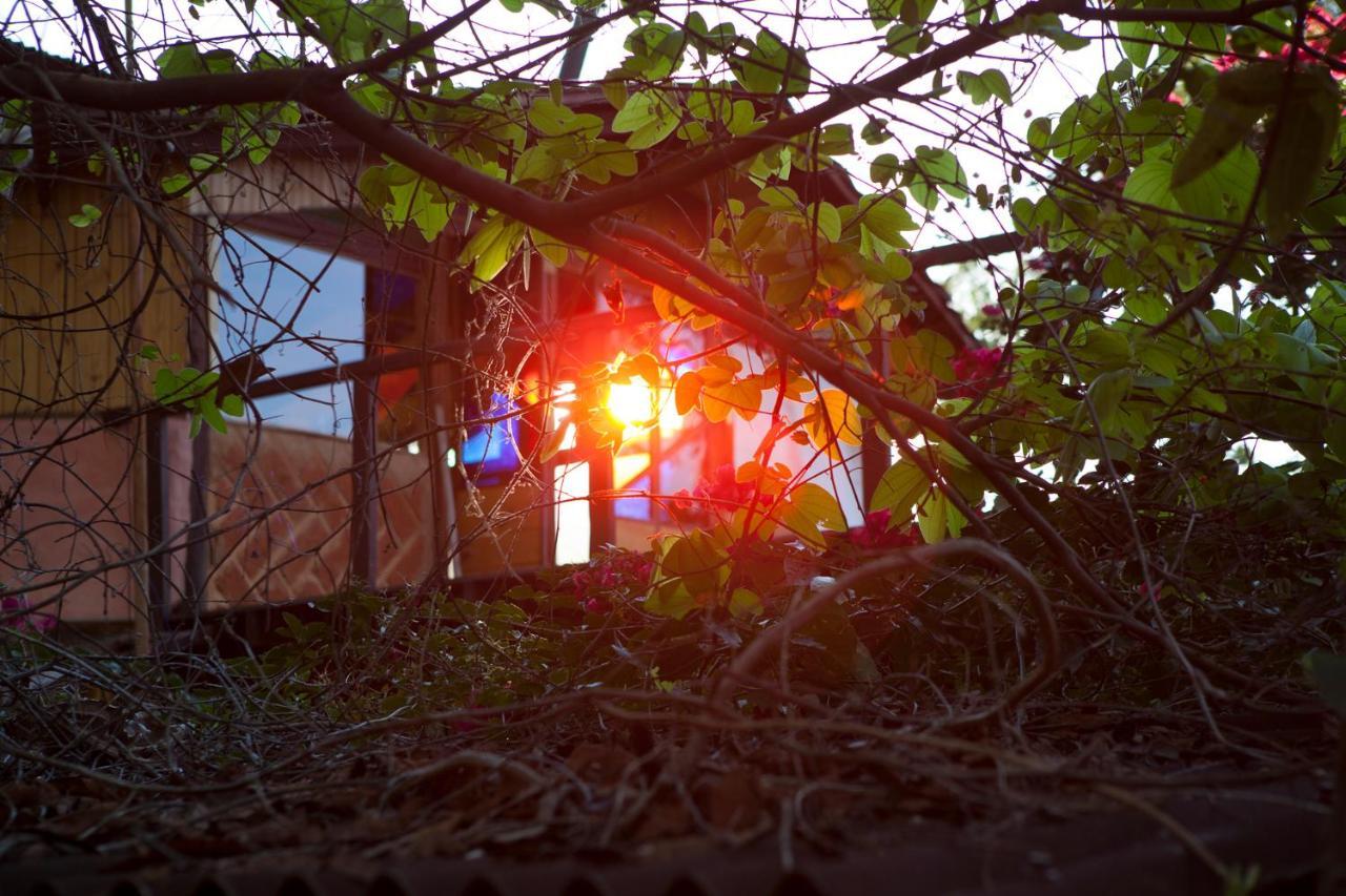 Mariri Jungle Lodge Alto Paraíso de Goiás 外观 照片