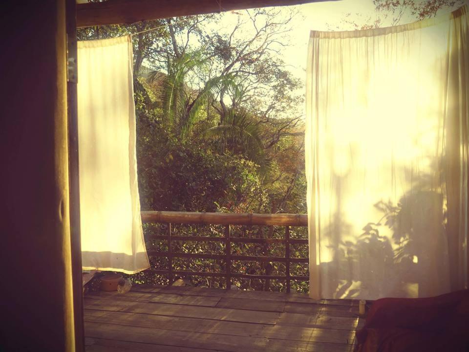 Mariri Jungle Lodge Alto Paraíso de Goiás 外观 照片